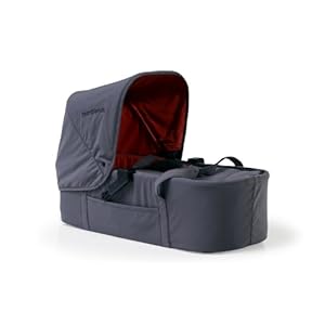Bumbleride 2011 Indie Twin Carrycot Fog (Grey)