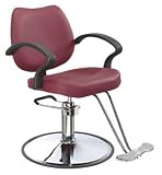 Classic Hydraulic Barber Chair Styling Salon Beauty 3R