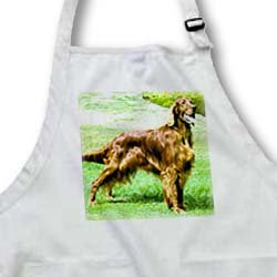 Dogs Irish Setter - Irish Setter - Aprons