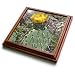 Costal Prickly Pear Cactus flower.(Opuntia littoralis).Crystal Cove State Park, California - 8x8 Trivet With 6x6 Ceramic Tile
