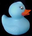 Blue Rubber Ducky