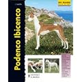 Podenco ibicenco (Razas De Perros/ Dog Breeds)