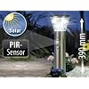 Lunartec Solar-LED-Wegeleuchte "Supreme" mit PIR-Sensor