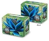 Ultra Pro MTG Magic 15th Anniversary Black Lotus Art Deck Box & 80 Sleeves