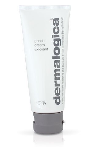 Dermalogica Gentle Cream Exfoliant 2.5 oz.