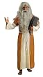 Biblical Moses Adult Costume
