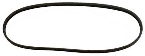 Auto7 301-1162 Power Steering Pump Belt