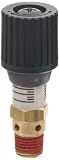 Control Devices CR Series Brass Pressure Relief Valve, 0-100 psi Adjustable Pressure Range, 1/4