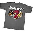 Angry Birds Pixels Youth Charcoal Grey Tee (Large)