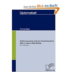 Einf�hrung eines internen Kontrollsystems (IKS) in einem KMU Betrieb: Ein Leitfaden