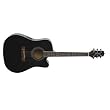 Takamine Jasmine ES31C Acoustic Electric Guitar