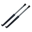 1995-2001 BMW 740iL Trunk Trunk Damper Lift Supports - PAIR