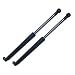 1995-2001 BMW 740iL Trunk Trunk Damper Lift Supports - PAIR