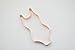 The Fussy Pup Bathing Suit 1 Piece Cookie Cutter 4.75 Inch