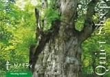 音のソノリティ ヒーリング・エディション QUIETSLEEP [DVD]