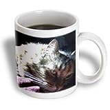 Gorgeous Maine Coon Cat Lazing In The Sun - 15oz Mug