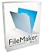 FILEMAKER PRO 7 RTL MUL ( F100CX00F )