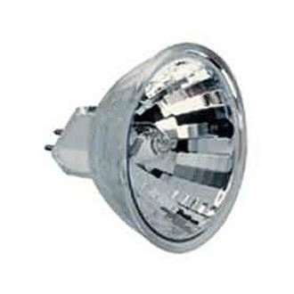 12 Volt MR16 Bulb / 24