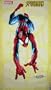 Marvel Spiderman Bath Beach Towel 30"x60" (color: Blue)