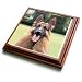 Dogs German Shepherd - German Shepherd - Trivets
