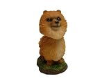 Mini Bobble Head Dog Pomeranian