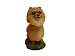   - Mini Bobble Head Dog Pomeranian