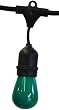 Table in a Bag ASL4824G Aspen String Lights with Green Bulbs, 48-Feet, 24 Bulbs