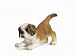 Toys : Schleich St. Bernard Puppy
