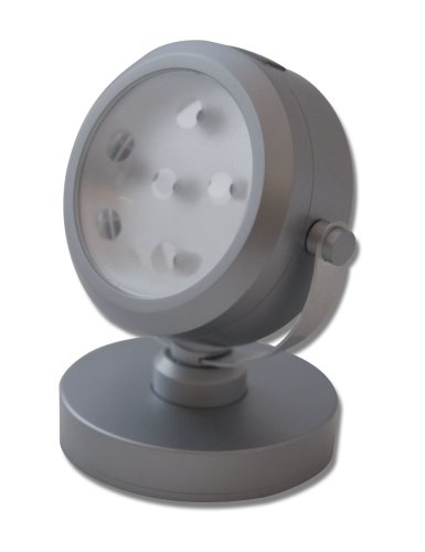 Tools: RiteLite LPL720 Six LED Spotlight