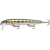 Rapala BX Waking Minnow 13 Yellow Perch Lure