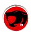 Search : Thundercat Logo Embroidered Patch 63-30