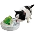 catsrule