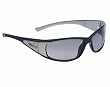 Anarchy Silverback "Disorder" Sunglasses w/ Smoke Gradient Lens