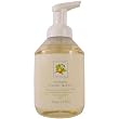 Fruit Duos Foaming Hand Wash Somerset Asquith 500 ml 17 fl oz