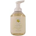 Fruit Duos Foaming Hand Wash Somerset Asquith 500 ml 17 fl oz, Apricot Honey