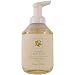 Fruit Duos Foaming Hand Wash Somerset Asquith 500 ml 17 fl oz