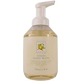 Fruit Duos Foaming Hand Wash Somerset Asquith 500 ml 17 fl oz