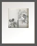 �s���[�t�A�[�g�tHana concept frame Pea pod leaf/silver�i�s�[�|�b�h���[�t(�G���h�E)/�V���o�[�j