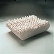 Pro Pillow 14 in. x 21 - Each