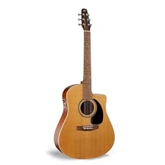 Seagull Performer CW GT Q-1 Ak