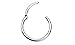 Urban Body Jewelry 14G Hinged Stainless Steel Segment Hoop Ring 5/16