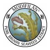 MODIFILAN Brown Seaweed Extract 500 mg 90 Capsules FREE USA SHIPPING