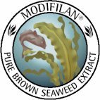 100% PURE KOMBU EXTRACT MODIFILAN 500MG 90 CAPS
