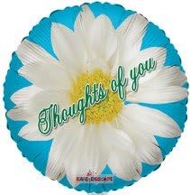 18"" Sv Daisy Thoughts Of You Balloon