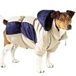 Blue & Beige Hooded Two-Tone Dog Parka - X-Large