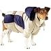 Casual Canine Base Camp Parkas Tan  Blue, Size: X-LARGE