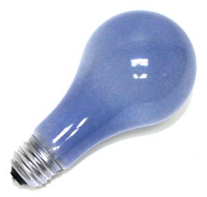 General 10219 - 100A21/D/120V Standard Daylight Full Spectrum Light Bulb