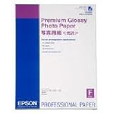 Epson Premium Glossy Photo Paper - Glossy photo paper - A2 (420 x 594 mm) - 25 sheet(s)