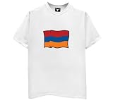 Armenia Flag T-Shirt