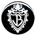 1" Jonas Brothers "Crest" Button/Pin